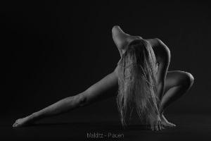 Zufallsbild
