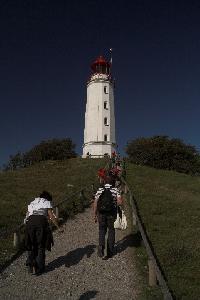 Zufallsbild