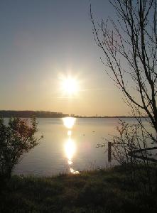 Zufallsbild