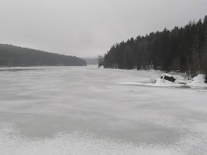 Zufallsbild