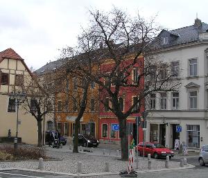 Zufallsbild