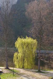 Zufallsbild