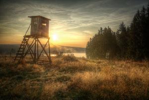 Zufallsbild