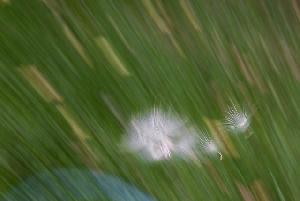Zufallsbild