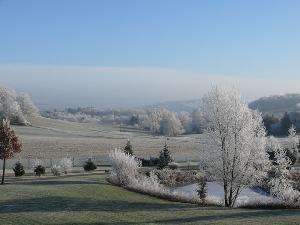 Zufallsbild