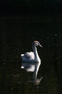 Zufallsbild