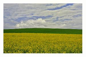 Zufallsbild