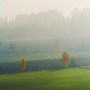 Zufallsbild