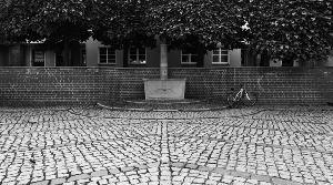 Zufallsbild