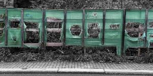 Zufallsbild