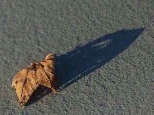 Zufallsbild