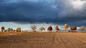 Zufallsbild