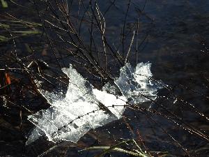 Zufallsbild