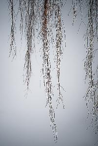 Zufallsbild