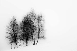 Zufallsbild