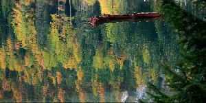 Zufallsbild