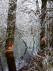 Zufallsbild
