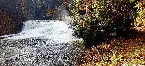 Zufallsbild