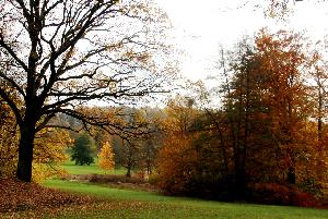Zufallsbild