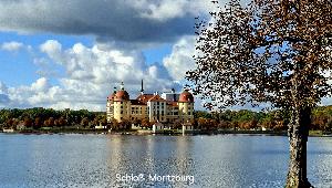 Zufallsbild