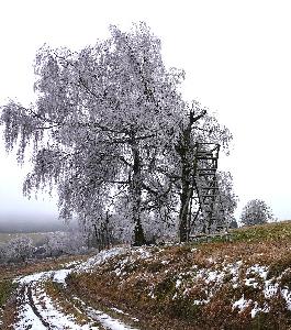 Zufallsbild