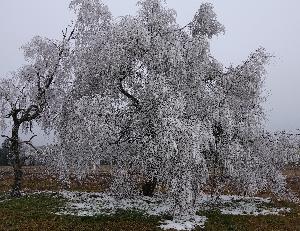 Zufallsbild