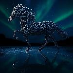  (Hans-Georg Kleemann )