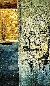 Zufallsbild