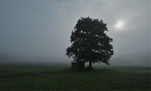 Zufallsbild