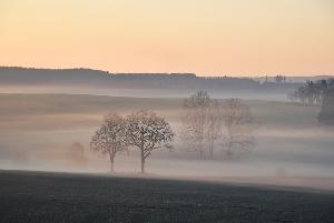 Zufallsbild
