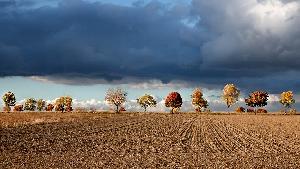 Zufallsbild