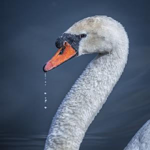 Zufallsbild