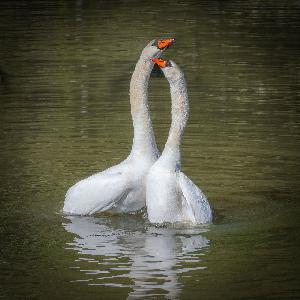 Zufallsbild